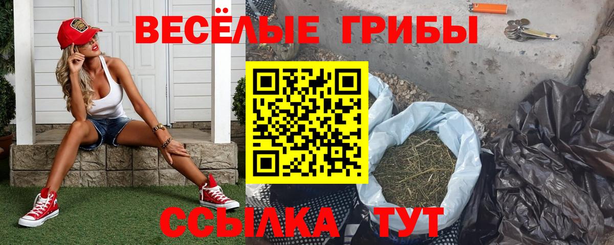 Галлюциногенные грибы прущие грибы Тула