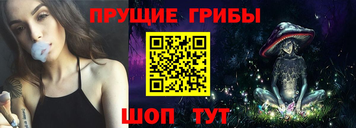 Тула  Галлюциногенные грибы GOLDEN TEACHER  Вход с VPN  Галлюциногенные грибы GOLDEN TEACHER 